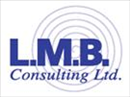 אל.אמ.בי.-יועצים בע''מ.logo