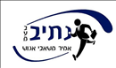 נתיב -אמיר משאבי אנוש בע''מ.logo
