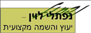 נפתלי לוין יעוץ והשמה מקצועית.logo
